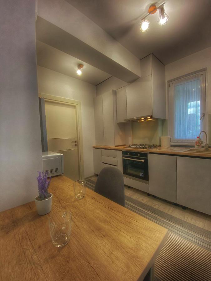 Homey Apartament 2 Rooms Palas Mall Яссы Экстерьер фото